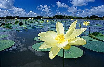 策略游戏圈重磅炸弹！《文明7》终于官宣！